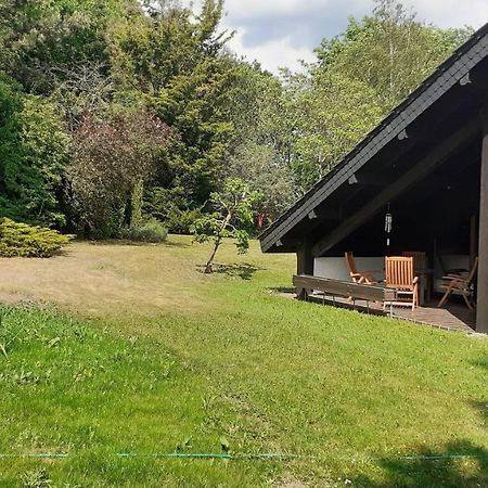 Ferienhaus Province Oberemmel 외부 사진