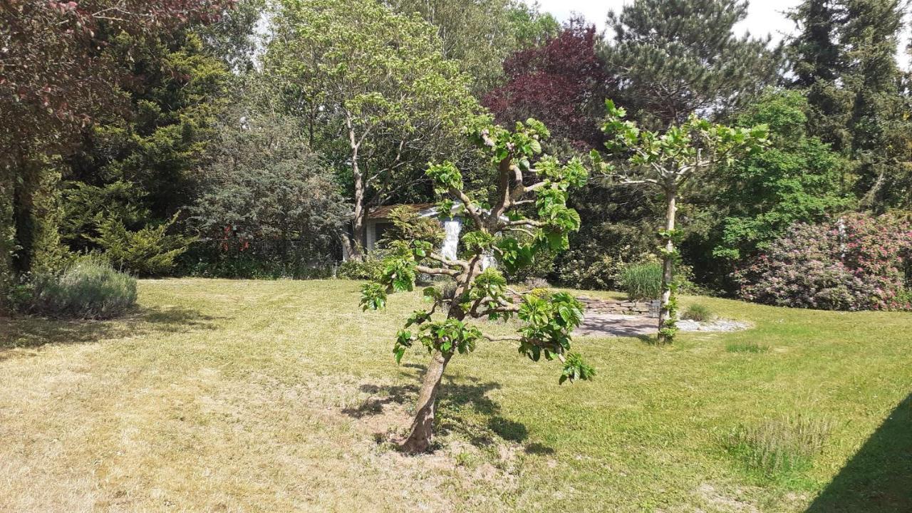 Ferienhaus Province Oberemmel 외부 사진